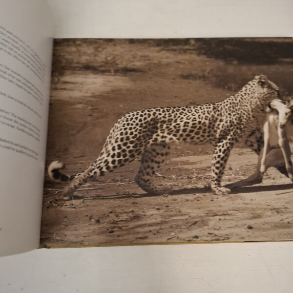 Eye Of The Leopard – Dereck Joubert secondhand book