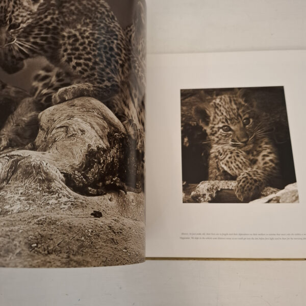 Eye Of The Leopard – Dereck Joubert secondhand book