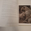 Eye Of The Leopard – Dereck Joubert secondhand book