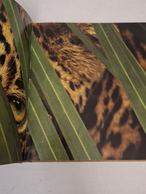 Eye Of The Leopard – Dereck Joubert secondhand book