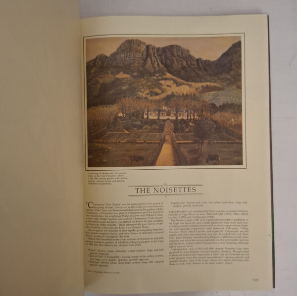 Roses At The Cape Of Good Hope – Gwen Fagan secondhand book