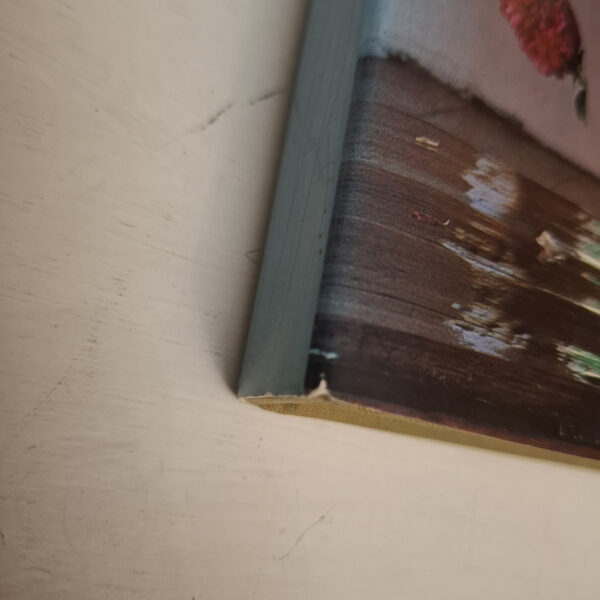 Roses At The Cape Of Good Hope – Gwen Fagan secondhand book