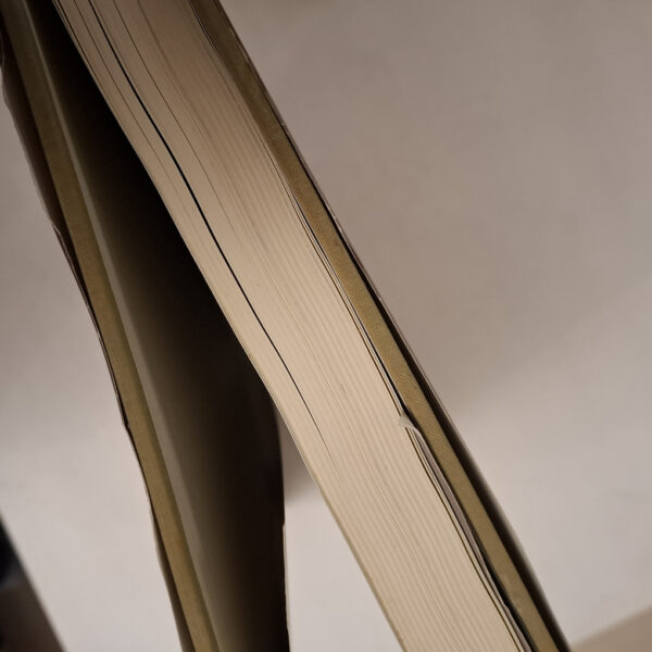 Roses At The Cape Of Good Hope – Gwen Fagan secondhand book