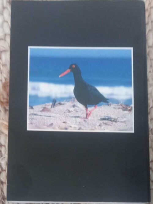 Birds Of The Southwestern Cape And Where To Watch Them — Wally Petersen, Mel Trip secondhand book