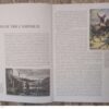 Blood River 1838: The Zulu-Boer War And The Great Trek — Ian Knight secondhand book