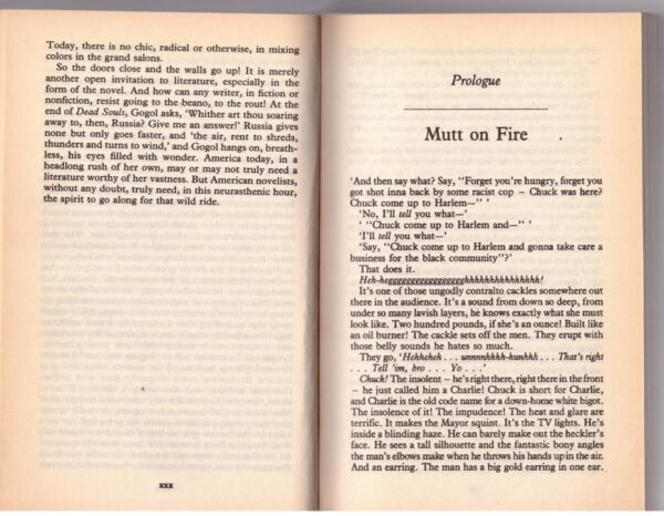 Bonfire of the Vanities6 The Bonfire Of The Vanities – Tom Wolfe secondhand book