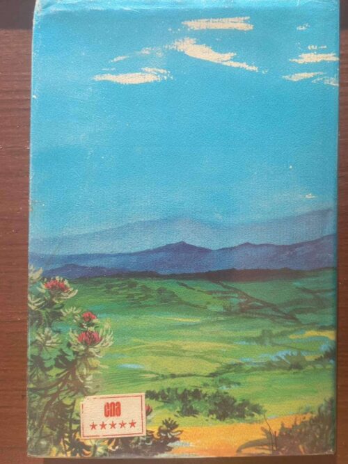 Boomerang — Joy Packer secondhand book