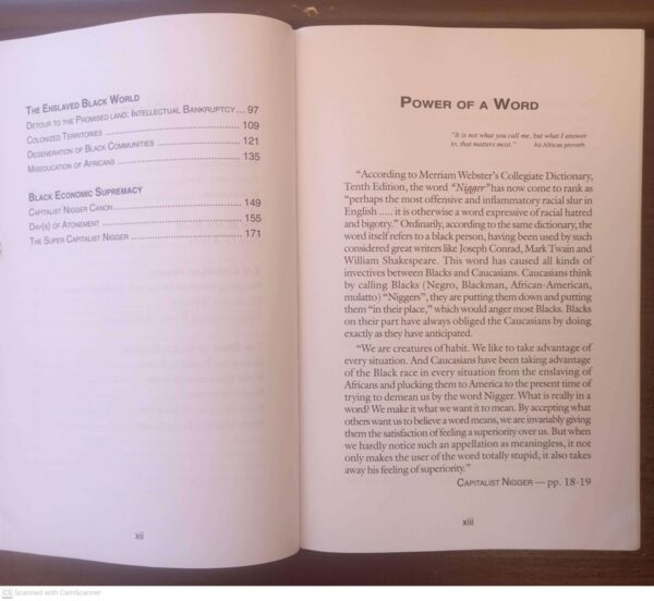 Capitalist Nigger6 Capitalist Nigger — Chika Onyeani secondhand book