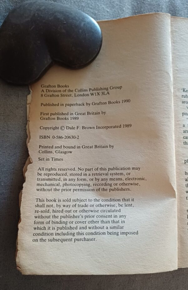 Day Of The Cheetah – Dale Brown secondhand book