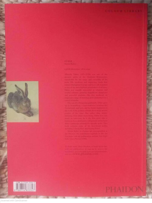 Dürer — Martin Bailey secondhand book