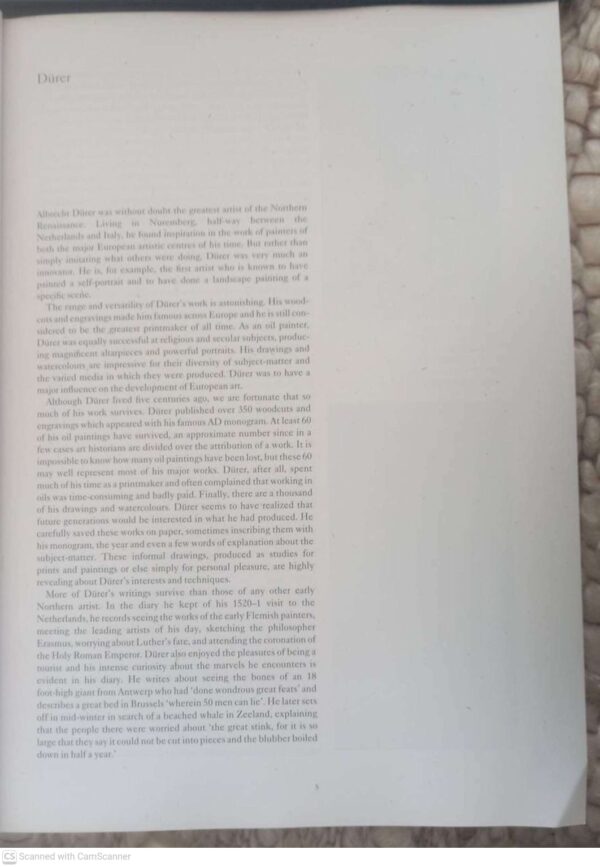 Dürer3 Dürer — Martin Bailey secondhand book