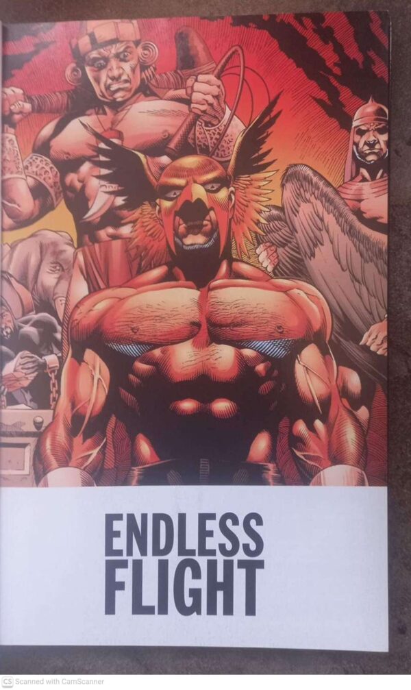 Hawkman: Endless Flight (DC Comics Graphic Novel Collection, Vol. 79) secondhand book