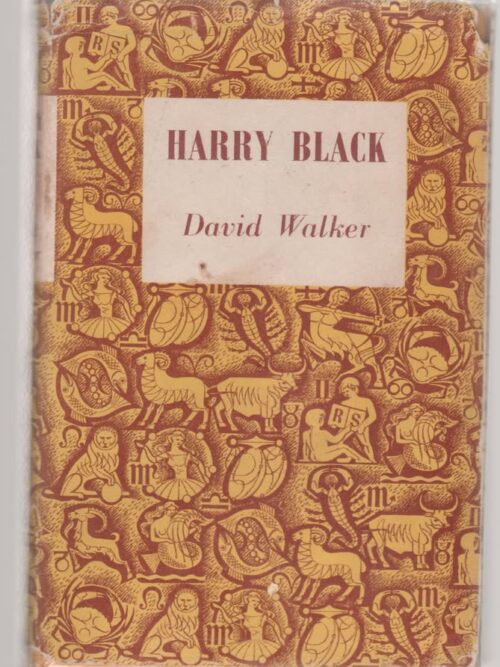 Harry Black: A Novel -- David Walker Harry Black: A Novel — David Walker secondhand book