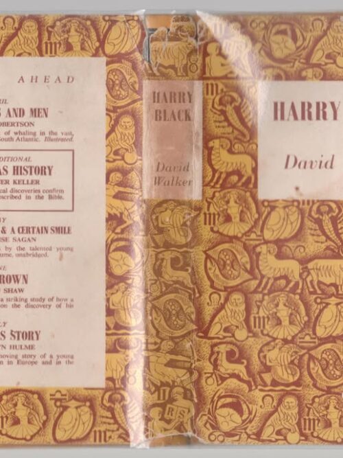 Harry Black: A Novel — David Walker secondhand book