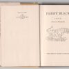 Harry Black: A Novel — David Walker secondhand book