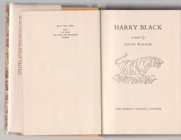 Harry Black: A Novel — David Walker secondhand book