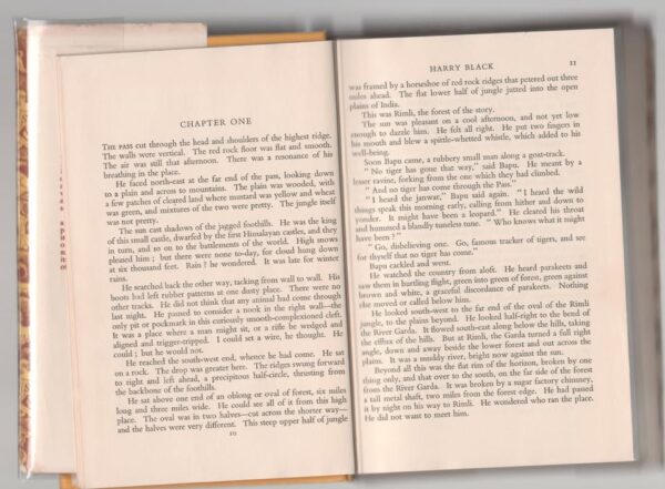 Harry Black: A Novel — David Walker secondhand book