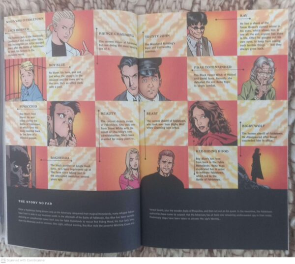 Fables Vol 6: Homeland — Bill Willingham secondhand book