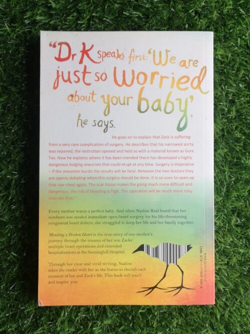 Mending A Broken Heart – Nadine Raal secondhand book