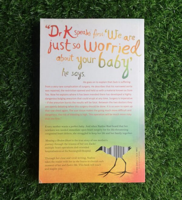 Mending A Broken Heart – Nadine Raal secondhand book