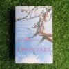 Salem Falls – Jodi Piccoult secondhand book