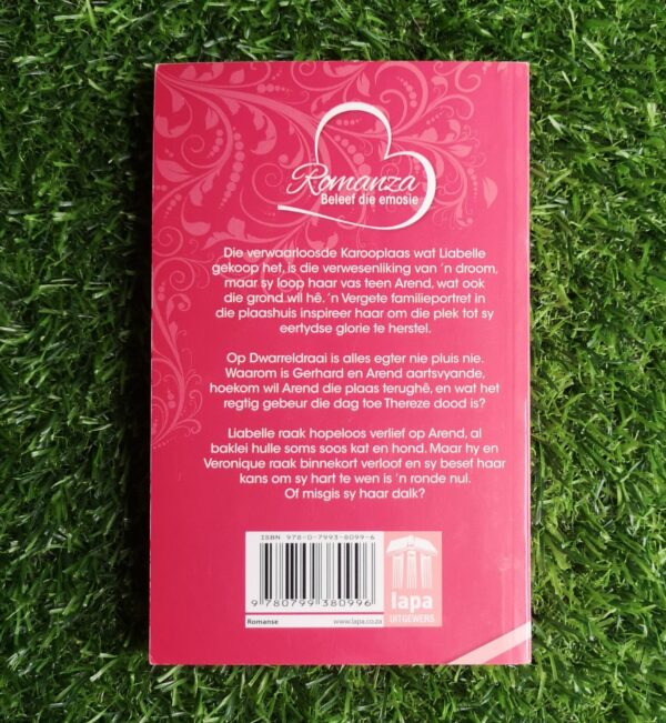 Vlinderdraai – Frenette Van Wyk secondhand book