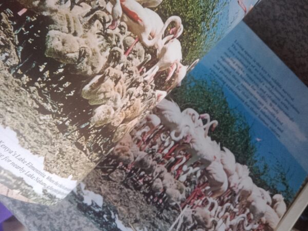 Our Magnificent Wildlife – Reader’s Digest secondhand book