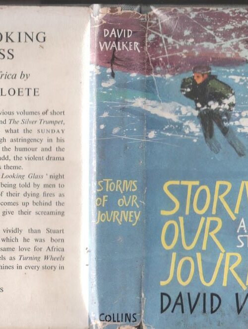 Storms Of Our Journey And Other Stories — David Walker secondhand book