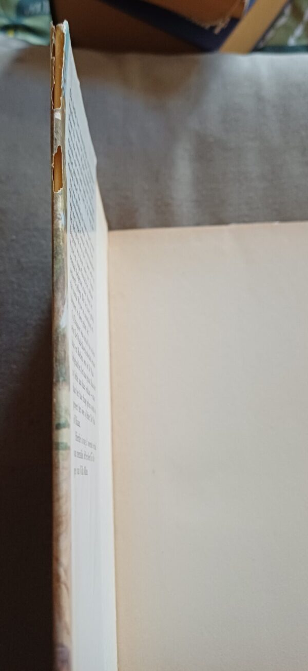 Toekoms Wink_Dustcover wear Die Toekoms Wink – Villa Mans secondhand book