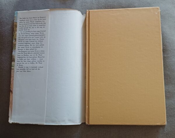 Toekoms Wink_Front_No Cover Die Toekoms Wink – Villa Mans secondhand book