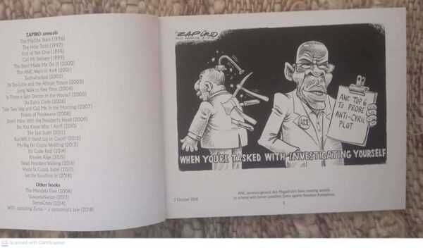 Which Side Is Up: Zapiro Annual 2019 secondhand book