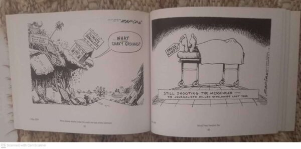 Which Side Is Up: Zapiro Annual 2019 secondhand book