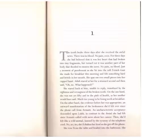 The World We Found — Thrity Umrigar secondhand book