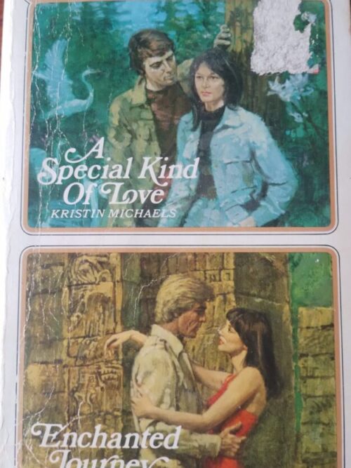 A Special Kind Of Love | Enchanted Journey – Kristin Michaels secondhand book
