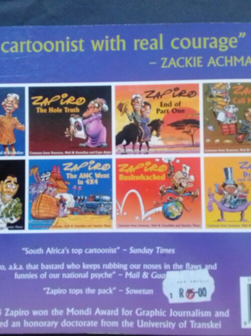 Long Walk To Free Time – Zapiro secondhand book