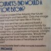 Crossing – Danielle Steel secondhand book