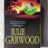 17731653596758043385144976156368 Heartbreaker – Julie Garwood secondhand book