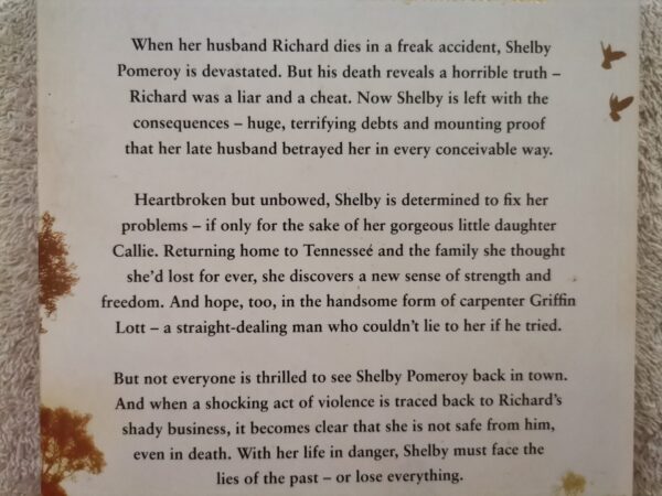 The Liar – Nora Roberts secondhand book