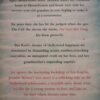 The Next Best Thing – Jennifer Weiner secondhand book