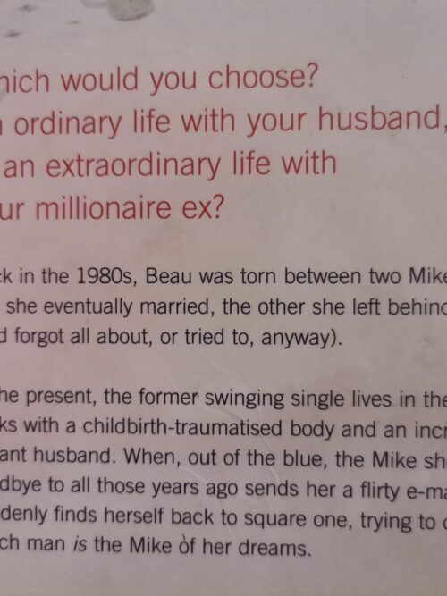 Mike, Mike & Me – Wendy Markham secondhand book