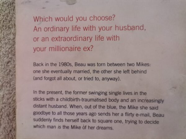 Mike, Mike & Me – Wendy Markham secondhand book