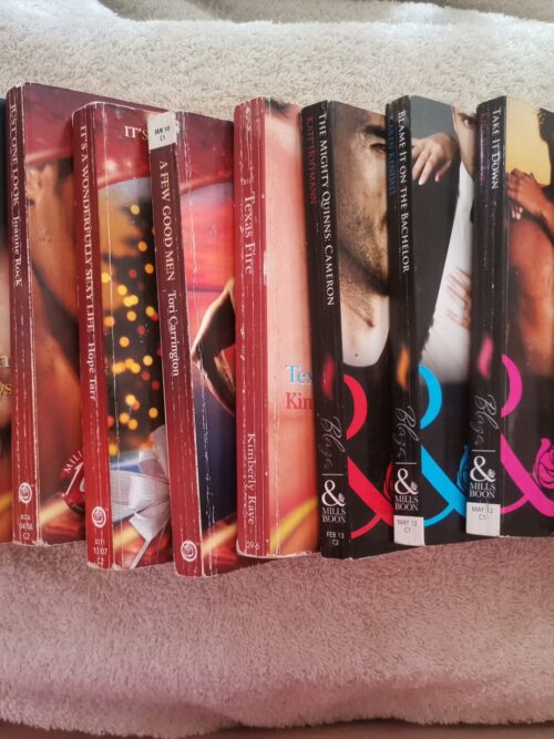 Mills & Boon Blaze Bundle (11 Books) secondhand book