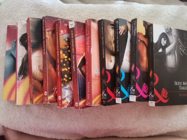 Mills & Boon Blaze Bundle (11 Books) secondhand book