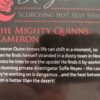 Mills & Boon Blaze Bundle (11 Books) secondhand book