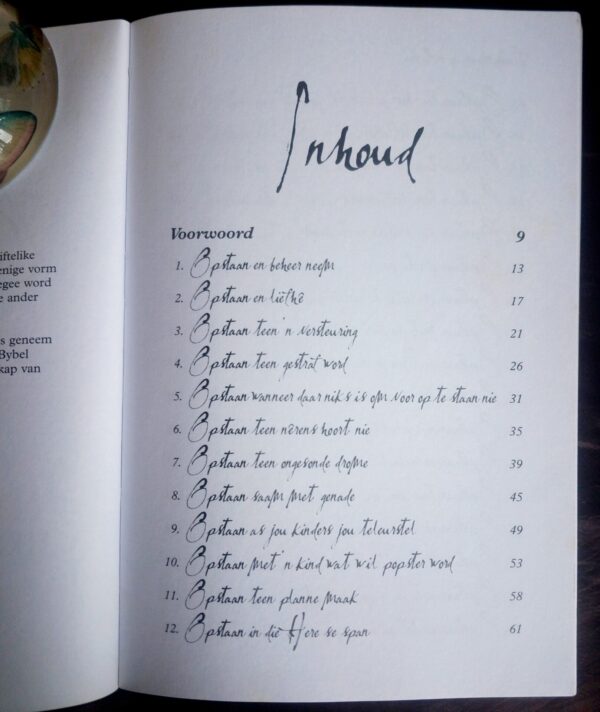 Platgeslaan, Opgestaan – Christina Landman secondhand book