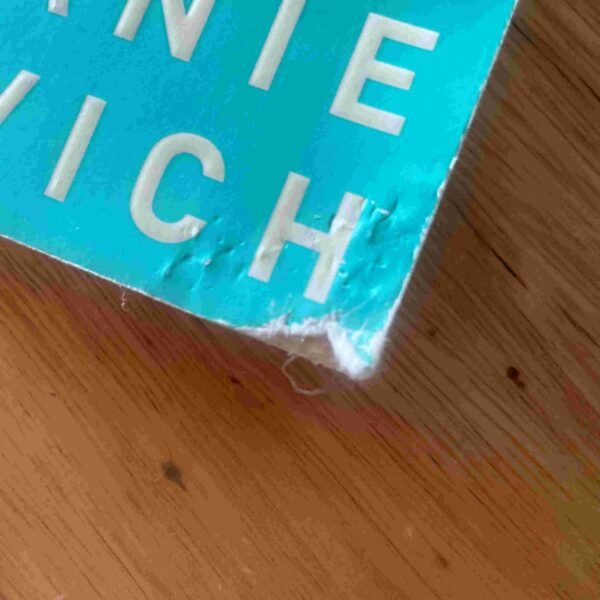 20260306_125657403_iOS 1 Big Girl Panties – Stephanie Evanovich secondhand book