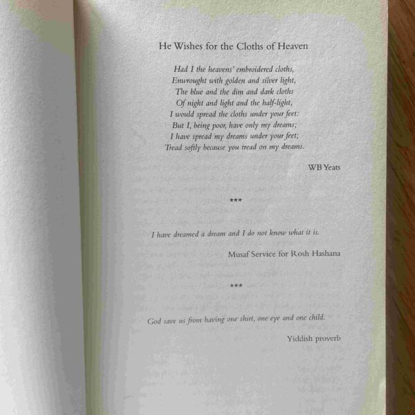 The Dreamcloth – Joanne Fedler secondhand book