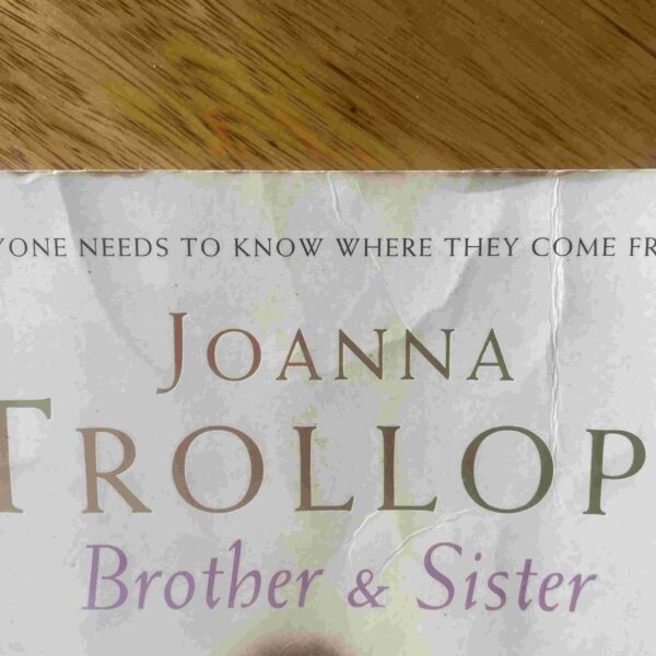 Brother and Sister – Joanna Trollop secondhand book