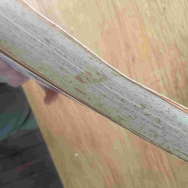 Brother and Sister – Joanna Trollop secondhand book