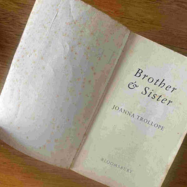 Brother and Sister – Joanna Trollop secondhand book